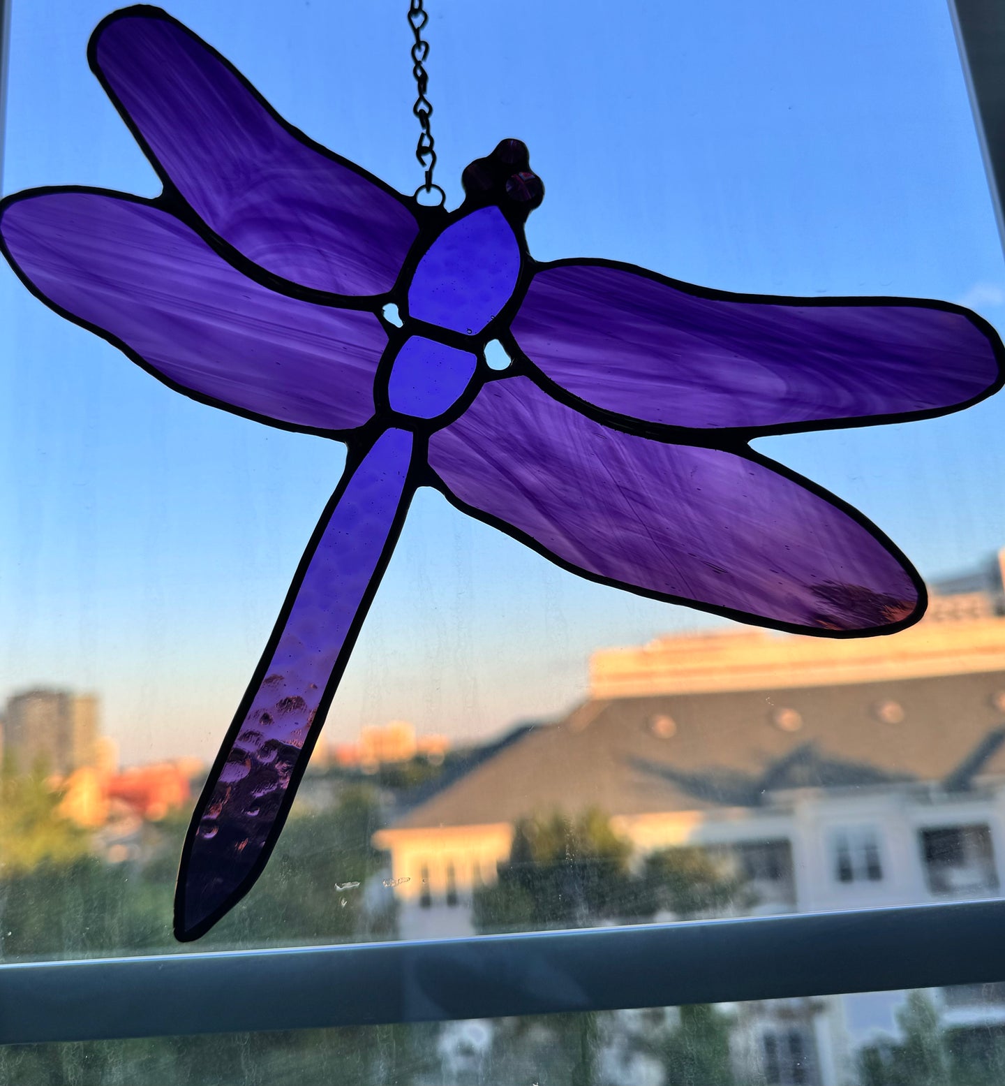 Dragonfly for Kate