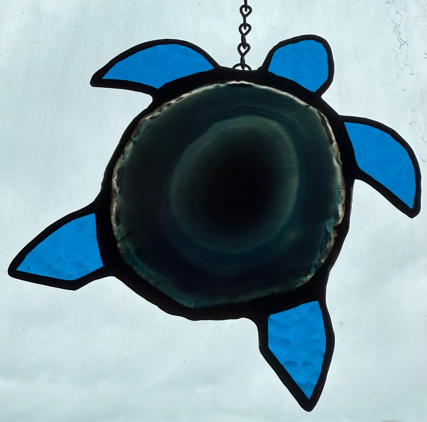 Sea turtle
