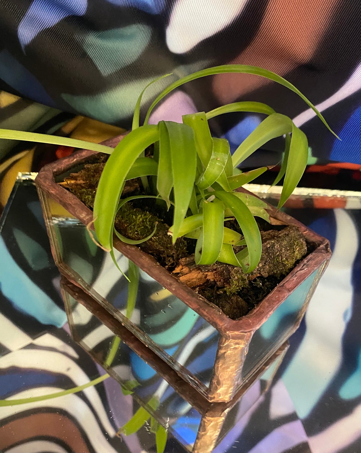 Mirror rectangle shape planter