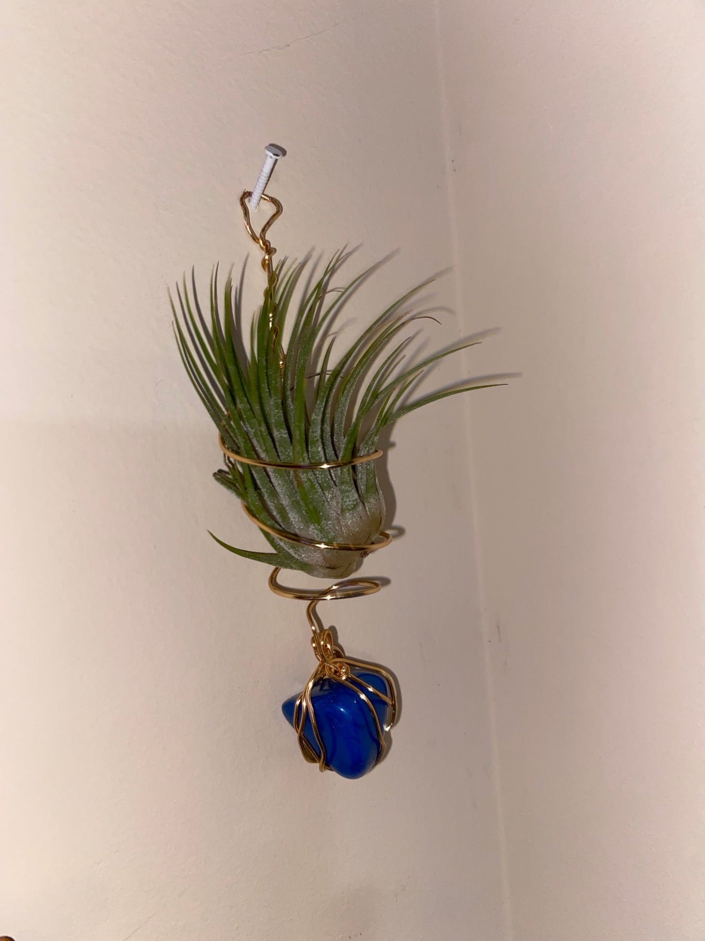 Blue rock air plant hanger