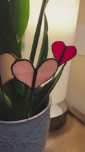 Load and play video in Gallery viewer, Heart plant art
