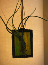 Load image into Gallery viewer, Green stained glass air plant number 2
