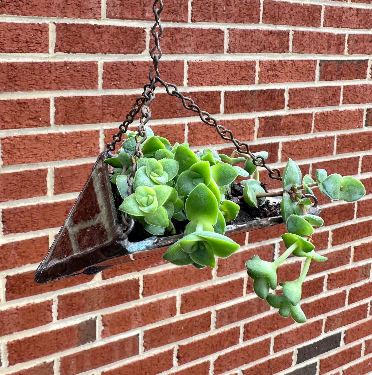 Medium hanging triangle planter