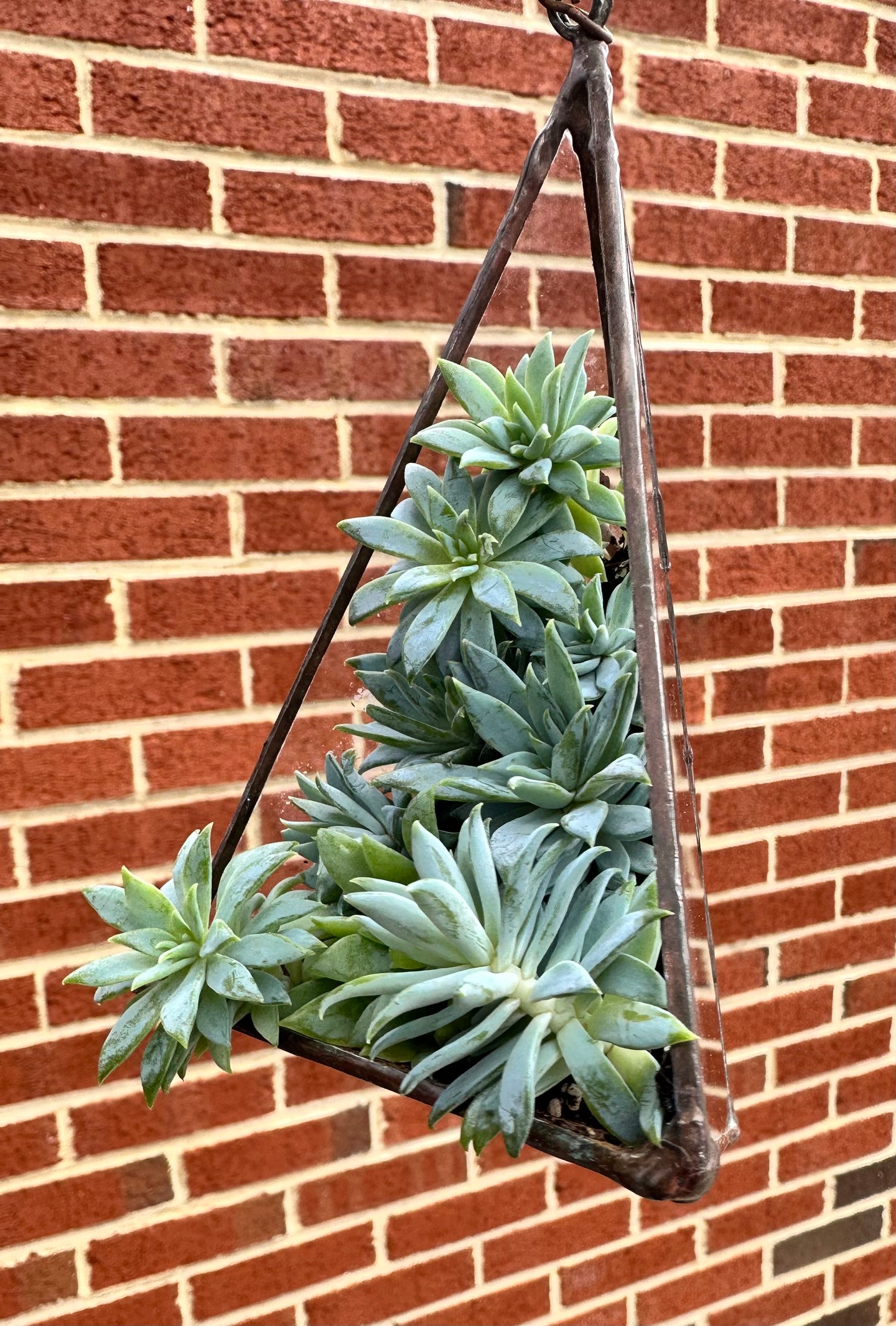 Medium hanging glass planter #2