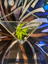 Load image into Gallery viewer, Large hanging glass planter
