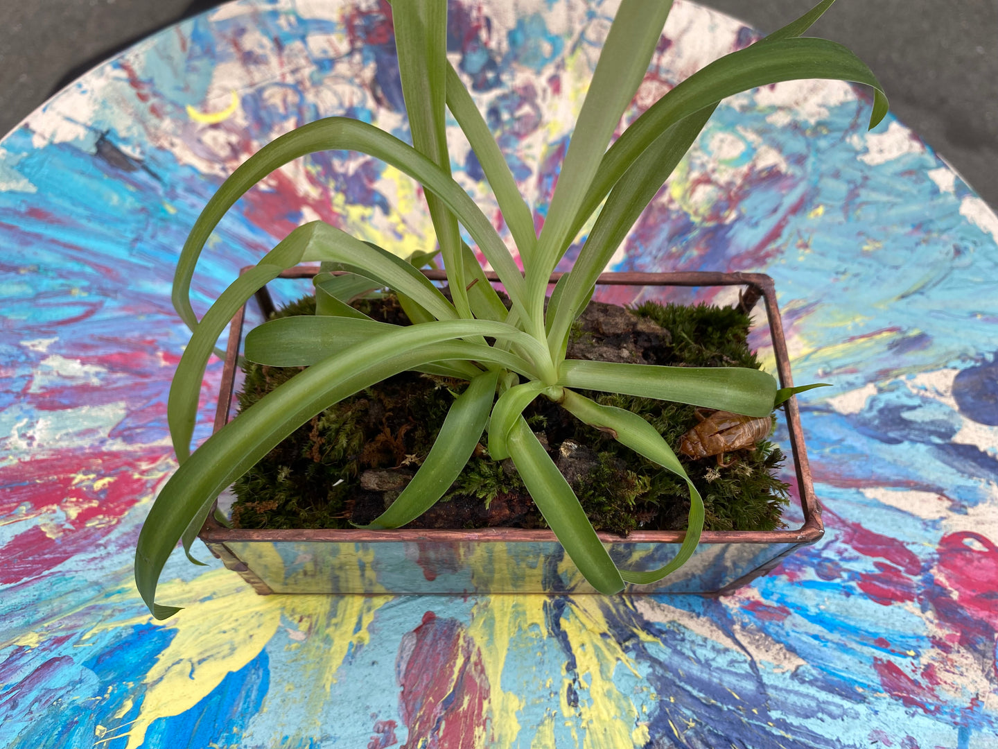 Rectangle glass planter